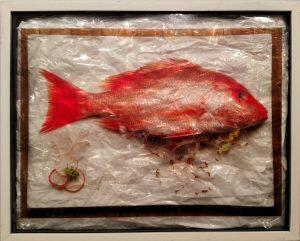 fish covered in plastic 