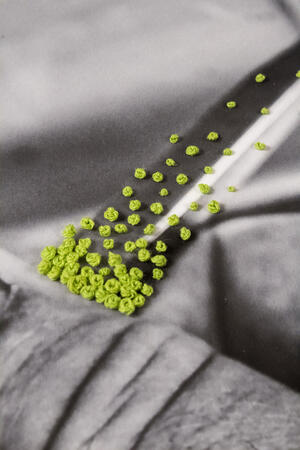 photograph of tiny, yellowish tortellini being poured into someone's hand