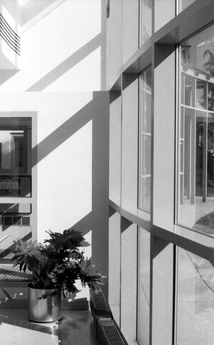 B+W photograph of light and shadows near window