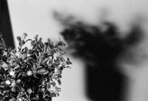 B+W photograph of flower bouquet and shadow