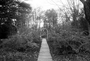 B+W photograph of garden with a trellis