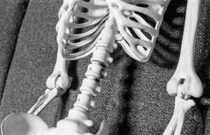 B+W photograph of skeleton's rib cage and spine against suit fabric