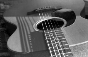 B+W photograph of guitar and shadows of strings