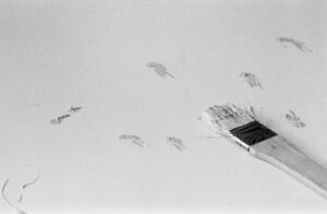 B+W photograph of paintbrush and paint smudges