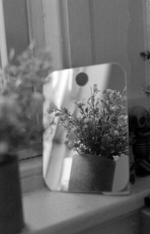 B+W photograph of flowers reflected in mirror